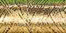 Sulky Metallic Thread-Dark Gold
