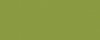 Madeira Rayon Thread Size 40 200 Meters-Avocado
