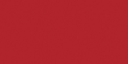All-Purpose Plastic Zipper 22"-Red