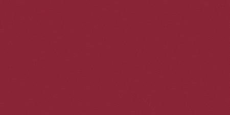 All-Purpose Plastic Zipper 12"-Raspberry
