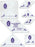 Perfect Patchwork Template-Set E - Eight Pointed S