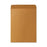 Sparco Products Catalog Envelope, Plain, 28lb, 10"x13", 250/BX, Kraft