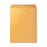Business Source Clasp Envelopes,28 lb.,10"x15",100/BX,Brown Kraft