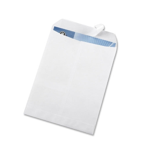 Business Source Catalog Envelopes,Removable Strip,No 10, 9"x12",100/BX,WE