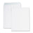 Business Source Catalog Envelopes,Removable Strip,No.10,10"x13", 100/BX,WE