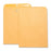 Business Source Hvy-duty Clasp Envelopes,11-1/2"x14-1/2",100/BX,Brown Kraft