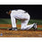 Mariano Rivera Scooping Dirt After Final Game At Yankee Stadium Signed 16x20 Photo wExit Sandman Insc