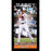 Manny Machado Baltimore Orioles Player Profile Wall Art 9.5x19 Framed Photo