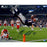 Rob Gronkowski Signed New England Patriots Flip Color 16x20 Photo