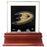 Anaheim Ducks Glass Single Puck Case with Team Logo Background