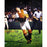 1978 Yankees Multi Signed Thurman Mon Color 16x20 Photo Signed by Ken Reagan (13 Sigs) (MLB Auth) (Torrez Lyle Gossage Dent Jack