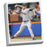 Chris Heston No Hitter 22x26 Canvas? 