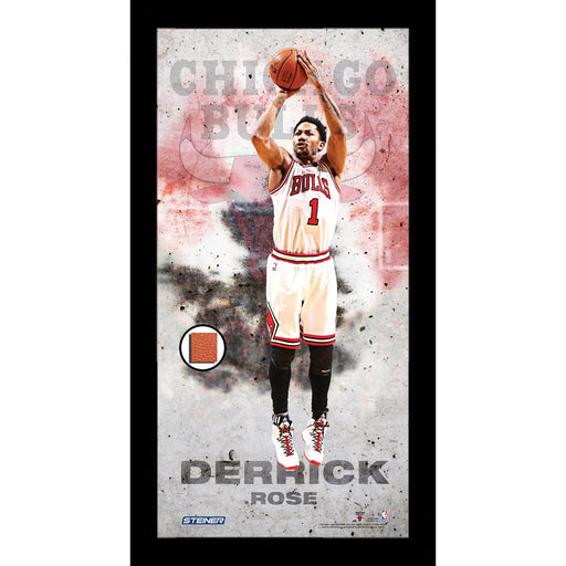 Derrick Rose Player Profile Framed 10x20 Photo Collage w Game Used Basketball