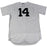 Starlin Castro New York Yankees Game Used #14 Pinstripe Jersey (9/2/2017)(HZ934887)