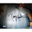 Tony Hawk 24 Ollie Transfer 8x10