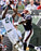 Darrelle Revis Interception vs Randy Moss of The New England Patriots Vertical 16x20 Photo uns