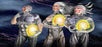 Window Graphic - 30x65 Extropians