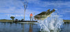 Window Graphic - 30x65 Fighting Bass