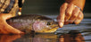Window Graphic - 30x65 The Prize
