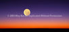 Window Graphic - 30x65 Full Moon Arising