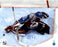 Patrick Roy Colorado Avalanche Signed Overhead In Crease 16x20 Photo (AJ Sports Auth)