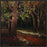 HIDDEN STREAM FOREST 28L X 28H Floater Framed Art Giclee Wrapped Canvas