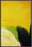 PETAL 22L X 28H Floater Framed Art Giclee Wrapped Canvas