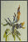 SEA WEED II 22L X 28H Floater Framed Art Giclee Wrapped Canvas