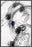 TIMING V 22L X 28H Floater Framed Art Giclee Wrapped Canvas