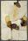 TOGGLE I 22L X 28H Floater Framed Art Giclee Wrapped Canvas