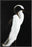 WHITE HERON 22L X 28H Floater Framed Art Giclee Wrapped Canvas