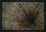 Enmeshed 28L X 22H Floater Framed Art Giclee Wrapped Canvas