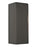 10 Inch W Dark Sky Aspen Wall Sconce