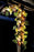 Lighted Grape Garland