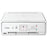 PIXMA TS5020 PRINTER WHT