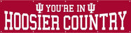 BIU Indiana Giant 8 foot x 2 foot banner