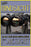Mentor 20x30 poster
