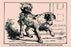 Find the Face of the Child 20x30 poster