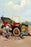 Auto Mechanical Bears 20x30 poster