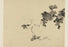 Wine Grape Vine 20x30 poster