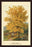 Field Maple 20x30 poster
