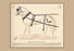 Single Express Harness 20x30 poster