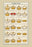 Foreign Crowns - Bohemia, Sardinia, et al. 20x30 poster