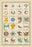Heraldic Charges - Mullet, Estoile, et al. 20x30 poster