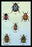 Beetles of Cape, America, Manilla, N. Holland and Brazil #1 20x30 poster