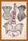 Color and Curves 20x30 poster