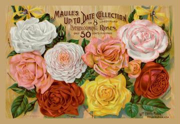 Maule's Up to Date Collection 20x30 poster