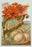 Maule's Seed Catalogue, 1893 20x30 poster