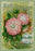 Maule's Seed Catalogue, 1894 20x30 poster