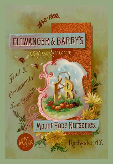 Ellwanger and Barry's General Catalogue 20x30 poster